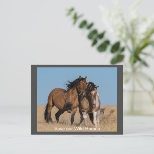 Wilde Mustangs Forever Briefkaart (Staand voorkant)
