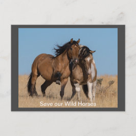 Wilde Mustangs Forever Briefkaart