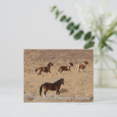 Wilde Mustangs in de Nevada-woestijn Briefkaart (Staand voorkant)