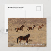 Wilde Mustangs in de Nevada-woestijn Briefkaart (Voorkant / Achterkant)