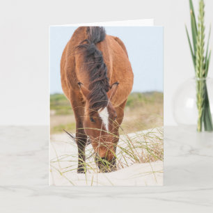 Wilde Mustangs of Banker-paarden Kaart