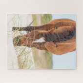 Wilde Mustangs of Banker-paarden Legpuzzel (Horizontaal)