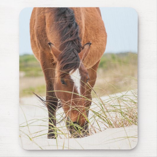 Wilde Mustangs of Banker-paarden Muismat (Voorkant)