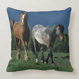 Wilde Mustangs Paarden Kussen