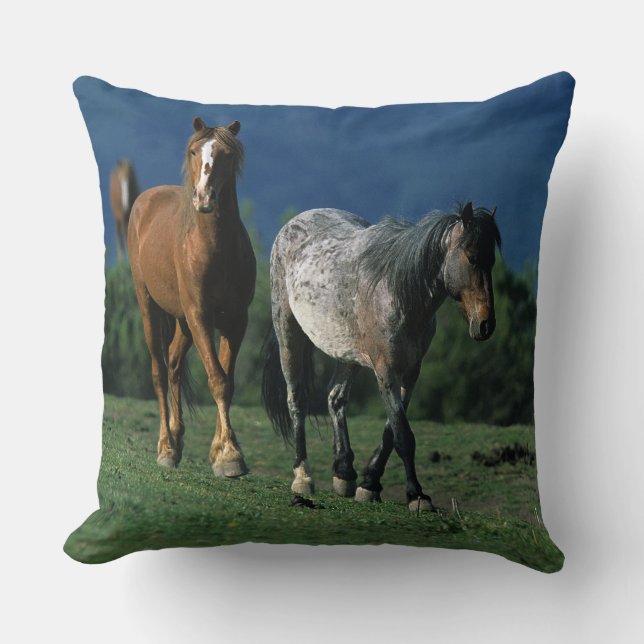 Wilde Mustangs Paarden Kussen (Voorkant)
