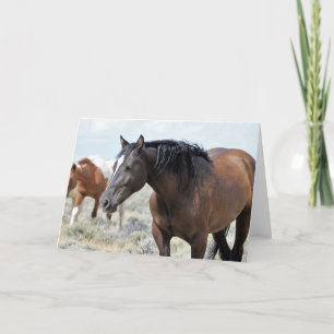 Wilde Mustangs uit het westen Kaart