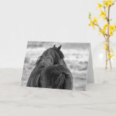 Wilde Mustangs uit het westen Kaart (Gele Bloem)