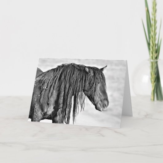 Wilde Mustangs uit het westen Kaart (Voorkant)