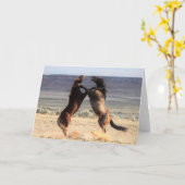 Wilde Mustangs uit het westen Kaart (Gele Bloem)