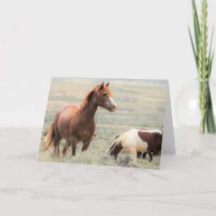 Wilde Mustangs uit het westen Kaart