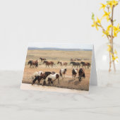 Wilde Mustangs uit het westen Kaart (Gele Bloem)