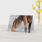 Wilde Mustangs uit het westen Kaart (Gele Bloem)