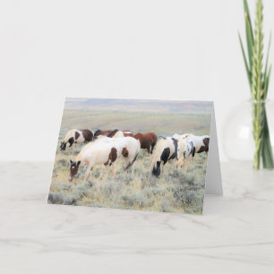 Wilde Mustangs uit het westen Kaart