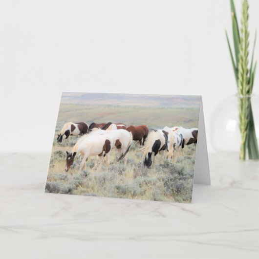 Wilde Mustangs uit het westen Kaart (Voorkant)