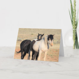 Wilde Mustangs uit het westen Kaart