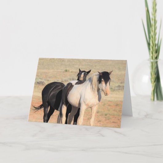 Wilde Mustangs uit het westen Kaart (Voorkant)