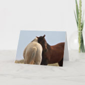 Wilde Mustangs uit het westen Kaart (Voorkant)