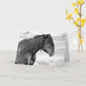 Wilde Mustangs uit het westen Kaart (Gele Bloem)