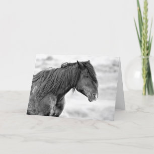 Wilde Mustangs uit het westen Kaart