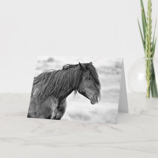 Wilde Mustangs uit het westen Kaart (Voorkant)