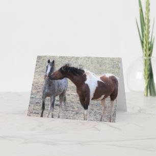 Wilde Mustangs uit het westen Kaart