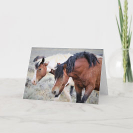 Wilde Mustangs uit het westen Kaart