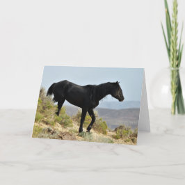 Wilde Mustangs uit het westen Kaart