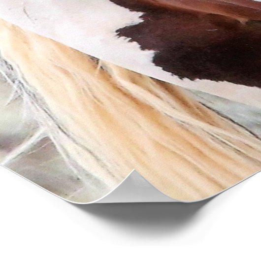 Wilde Mustangs uit het westen Poster (Hoek)