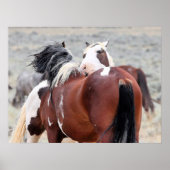 Wilde Mustangs uit het westen Poster (Voorkant)