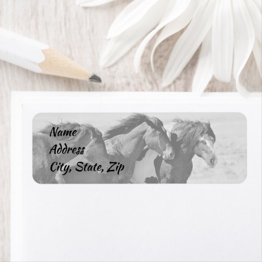 Wilde Mustangs van het Adres van het Westen Etiket (Insitu)