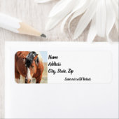 Wilde Mustangs van het Adres van het Westen Etiket (Insitu)