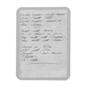 Wilde nachten, wilde nachten Manuscript Magneet