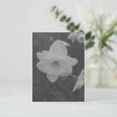 wilde narcis briefkaart (Staand voorkant)