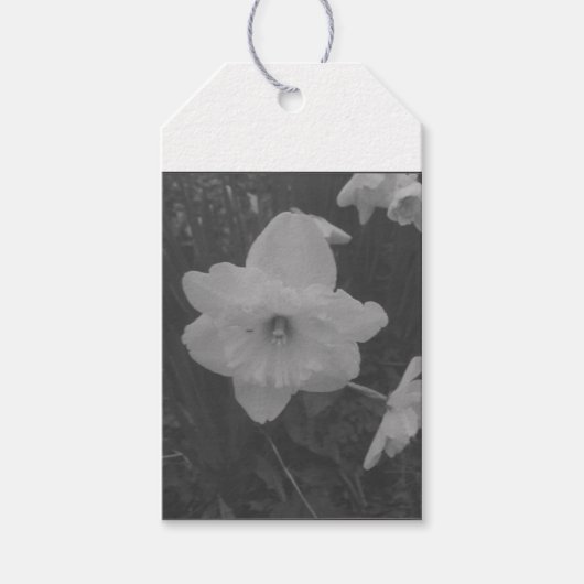 wilde narcis cadeaulabel (Voorkant)
