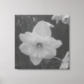 wilde narcis canvas afdruk (Voorkant)