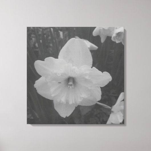 wilde narcis canvas afdruk (Voorkant)