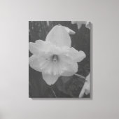 wilde narcis canvas afdruk (Voorkant)