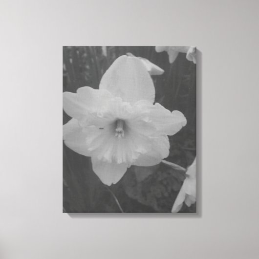 wilde narcis canvas afdruk (Voorkant)