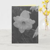 wilde narcis kaart (Gele Bloem)