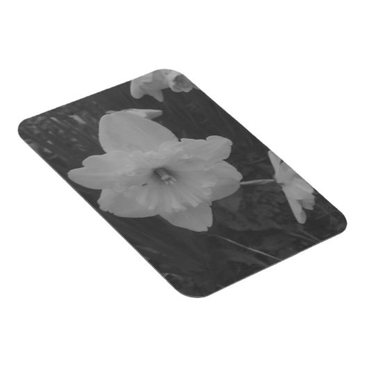 wilde narcis magneet (Rechterzijde)