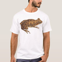 Wilde Natuur Art Reptielenkikker