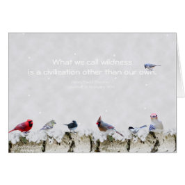 Wilde natuur: een andere beschaving dan onze eigen