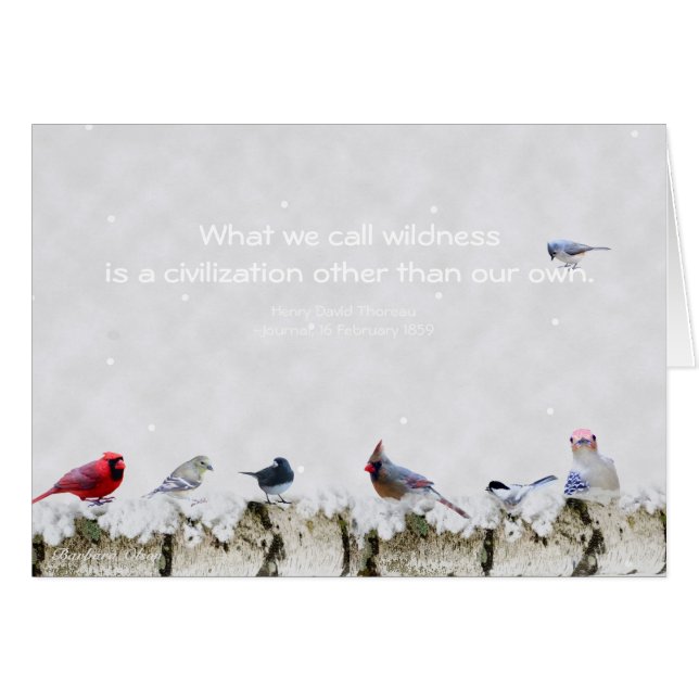 Wilde natuur: een andere beschaving dan onze eigen (Voorkant Horizontaal)