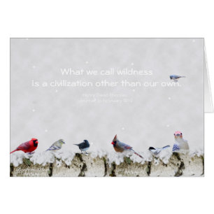 Wilde natuur: een andere beschaving dan onze eigen