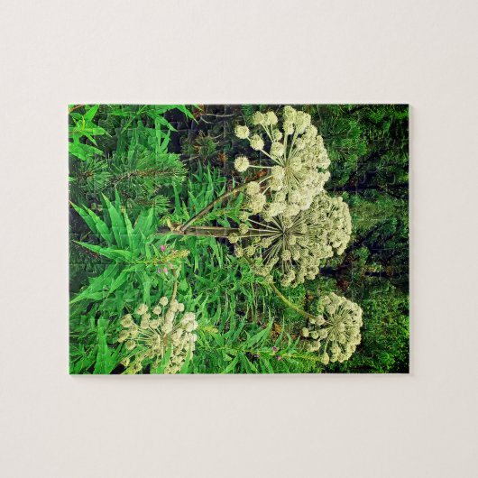 Wilde natuur, Natuur, Planten Fotografie Puzzel Legpuzzel (Horizontaal)