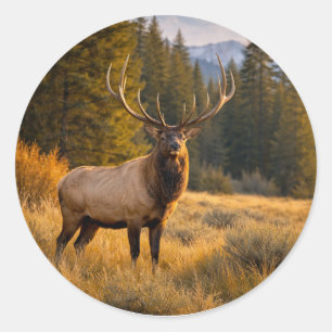 Wilde Natuur Prachtig Eland Berg Woud Ronde Sticker