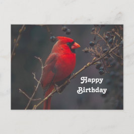 Wilde Natuur Rood Kardinaal Foto Verjaardag Briefkaart