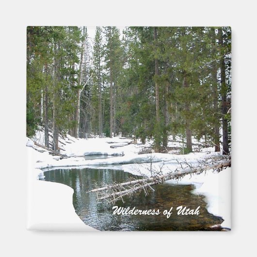 Wilde natuur van Utah Magneet (Voorkant)