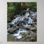 Wilde natuur Waterval Poster (Voorkant)