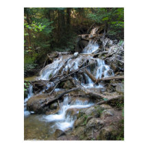 Wilde natuur Waterval